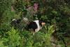 2009-08-14_ntb_4306