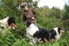 2009-08-14_ntb_4319