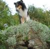2009-08-14_ntb_4331