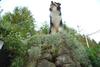 2009-08-14_ntb_4333