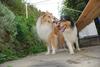 2009-08-14_ntb_4334