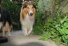 2009-08-14_ntb_4336