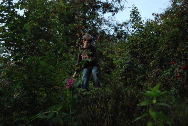 2009-08-14_ntb_4337