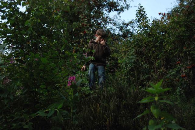 2009-08-14_ntb_4338