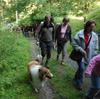 Wanderung zum Hundewald