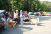 2009-08-15_ntb_4347