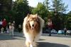 2009-08-15_ntb_4348