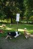 2009-08-15_ntb_4349
