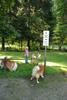 2009-08-15_ntb_4350
