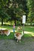 2009-08-15_ntb_4351