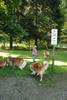 2009-08-15_ntb_4352