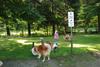 2009-08-15_ntb_4353