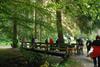 2009-08-15_ntb_4354