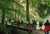 2009-08-15_ntb_4356