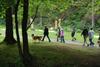 2009-08-15_ntb_4357