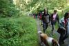 2009-08-15_ntb_4381