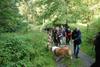 2009-08-15_ntb_4385