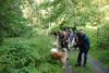 2009-08-15_ntb_4386