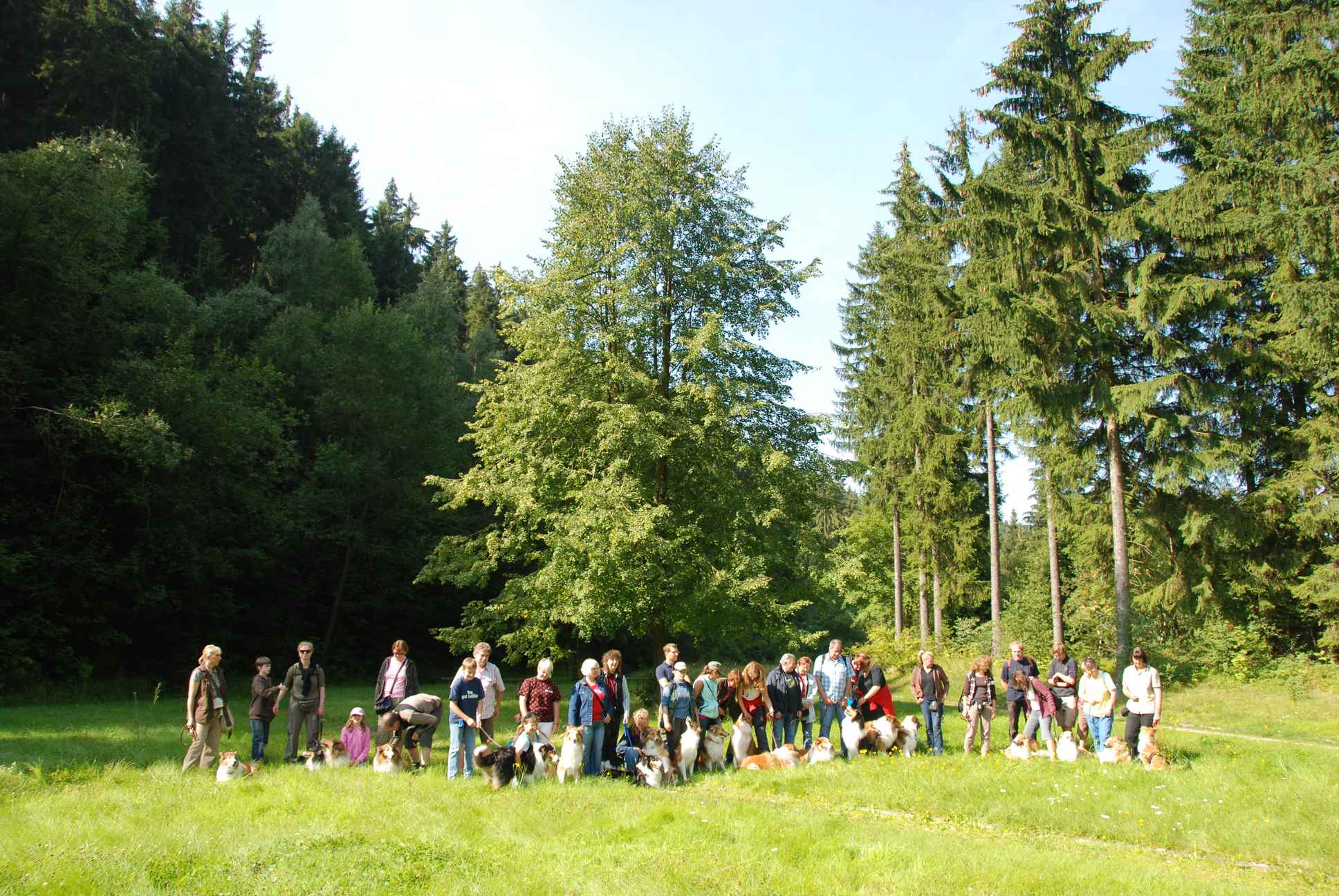 2009-08-15_ntb_4398