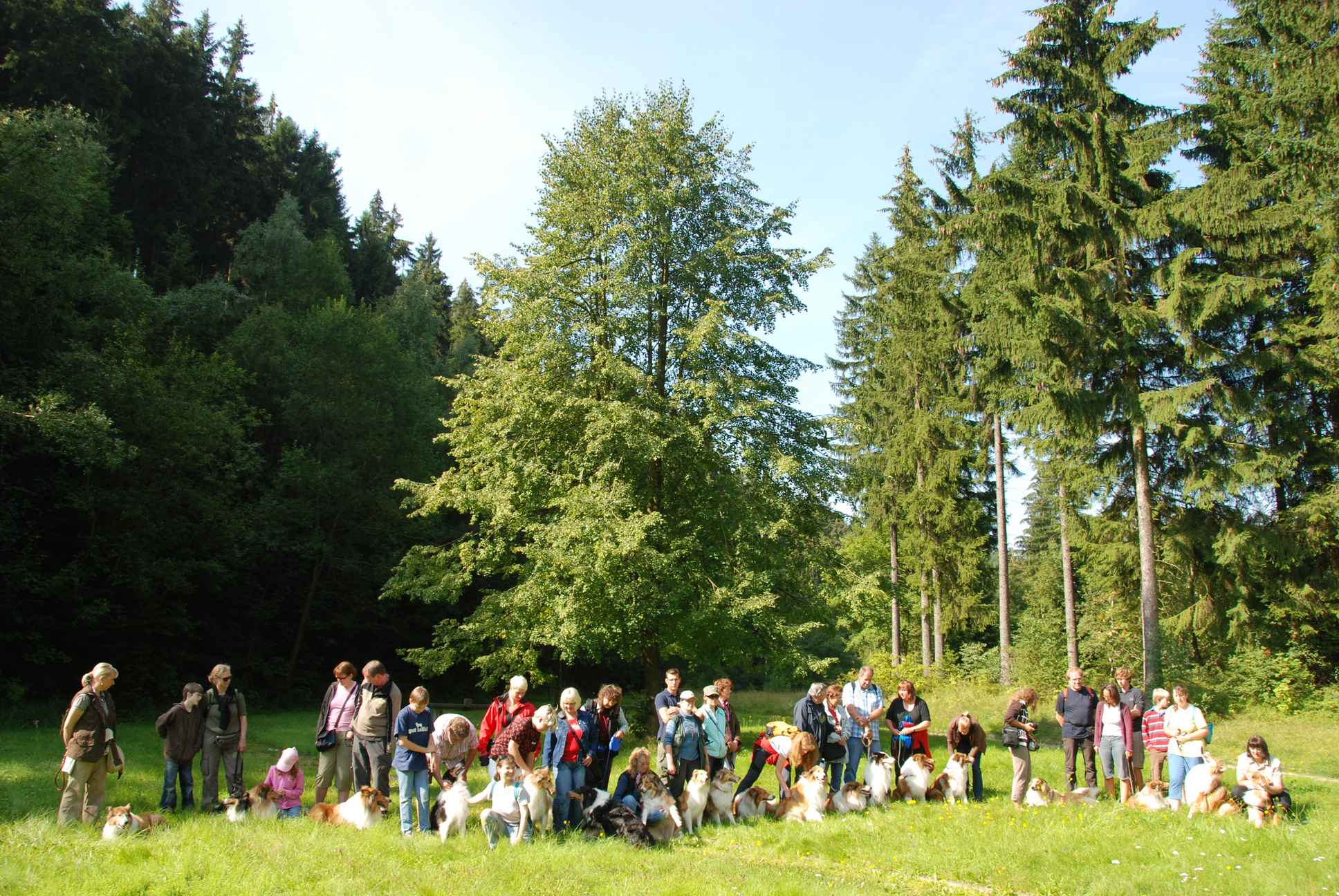 2009-08-15_ntb_4416