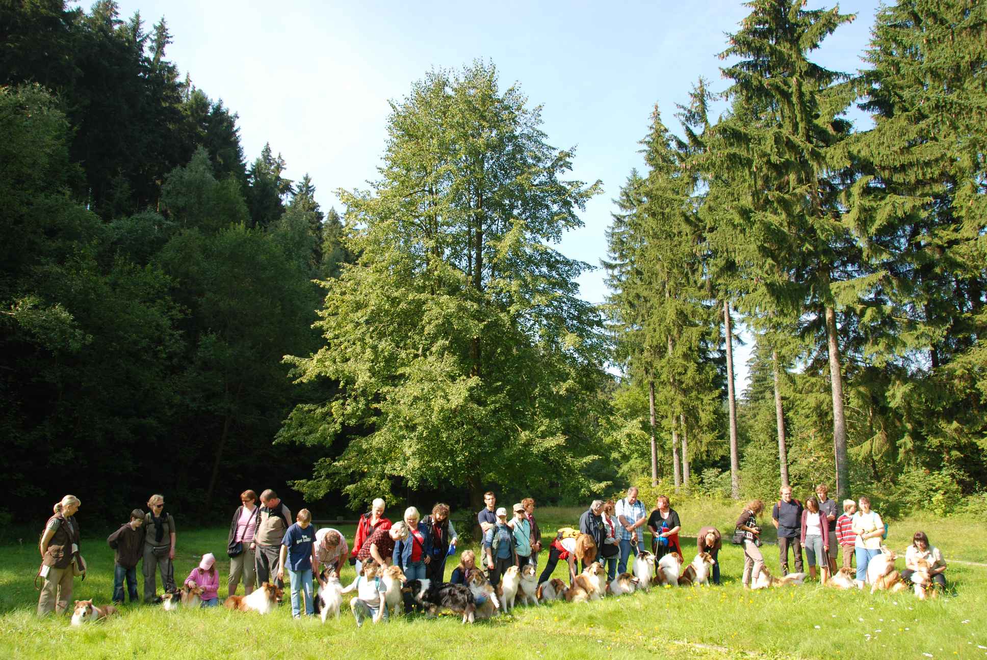 2009-08-15_ntb_4417