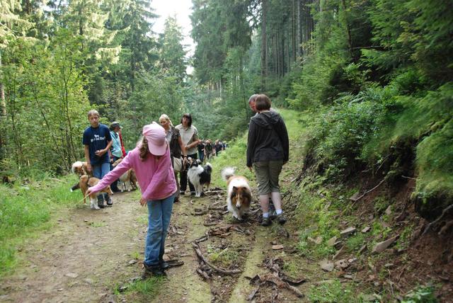 2009-08-15_ntb_4458