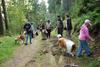 2009-08-15_ntb_4459
