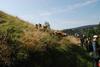 2009-08-15_ntb_4460