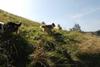 2009-08-15_ntb_4461