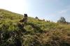 2009-08-15_ntb_4462