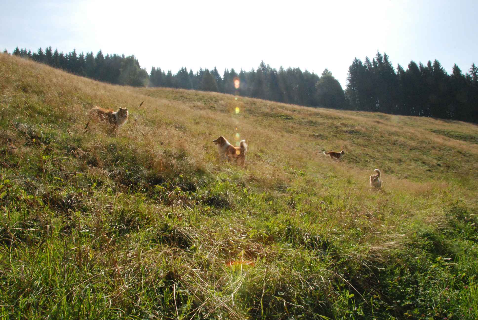 2009-08-15_ntb_4466