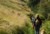 2009-08-15_ntb_4470
