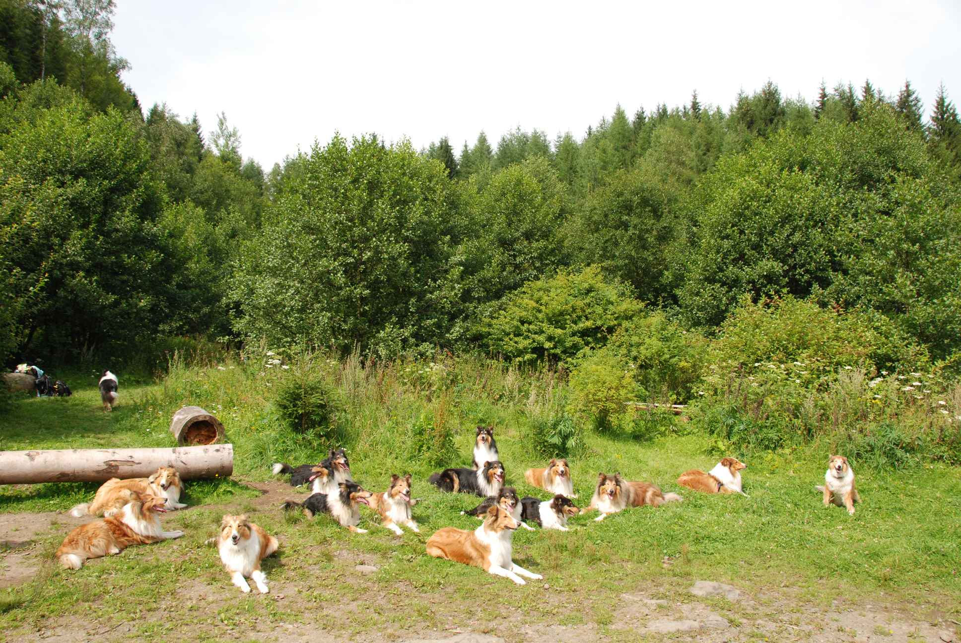 2009-08-15_ntb_4506