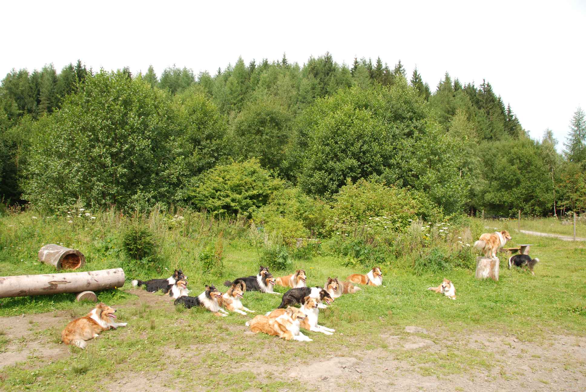 2009-08-15_ntb_4534