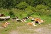 2009-08-15_ntb_4557