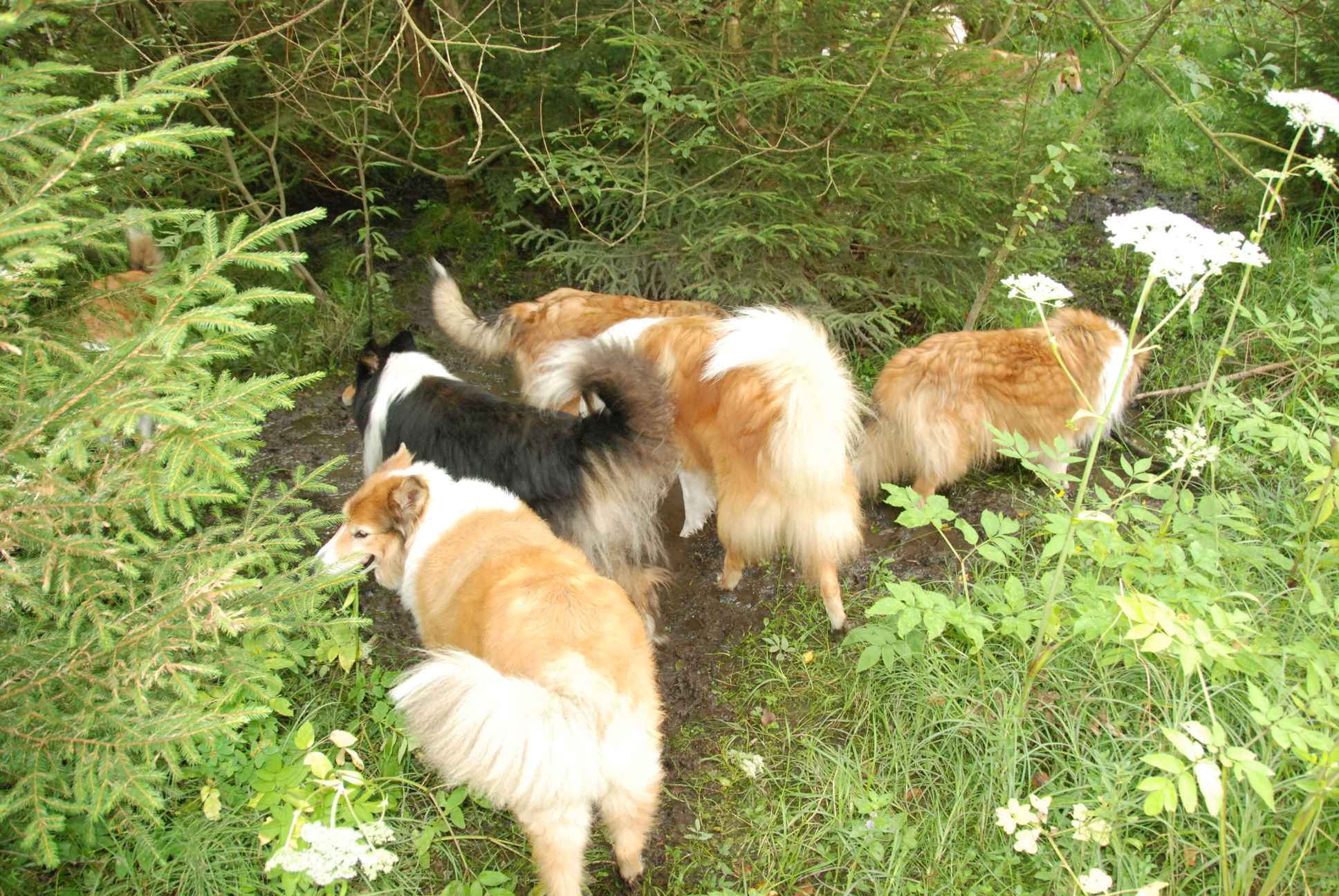 2009-08-15_ntb_4642