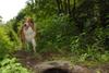 2009-08-15_ntb_4668