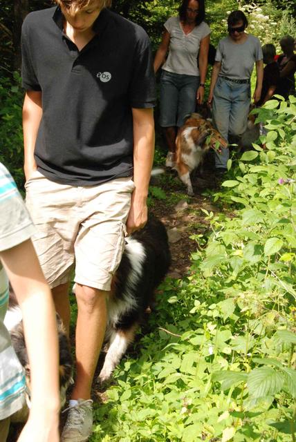 2009-08-15_ntb_4686