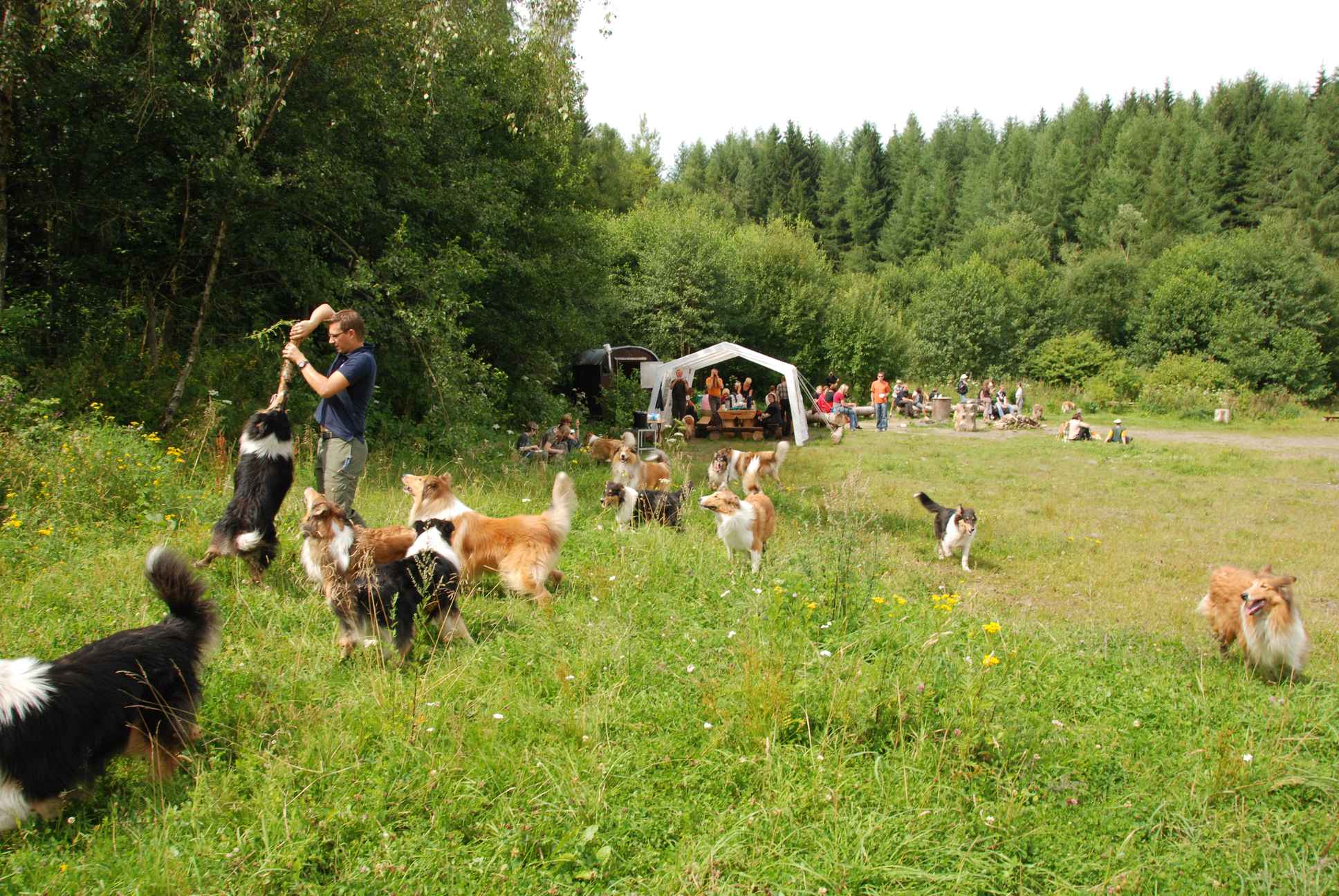 2009-08-15_ntb_4711
