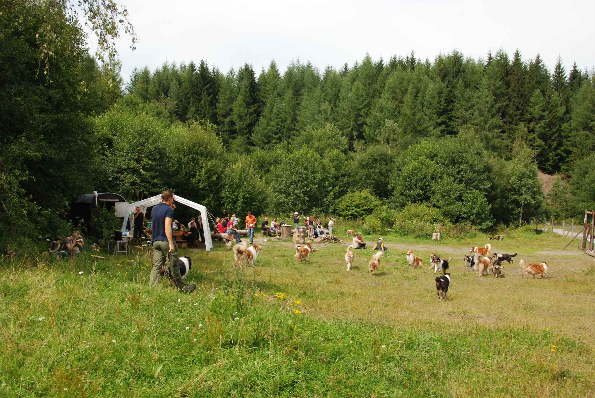 2009-08-15_ntb_4719