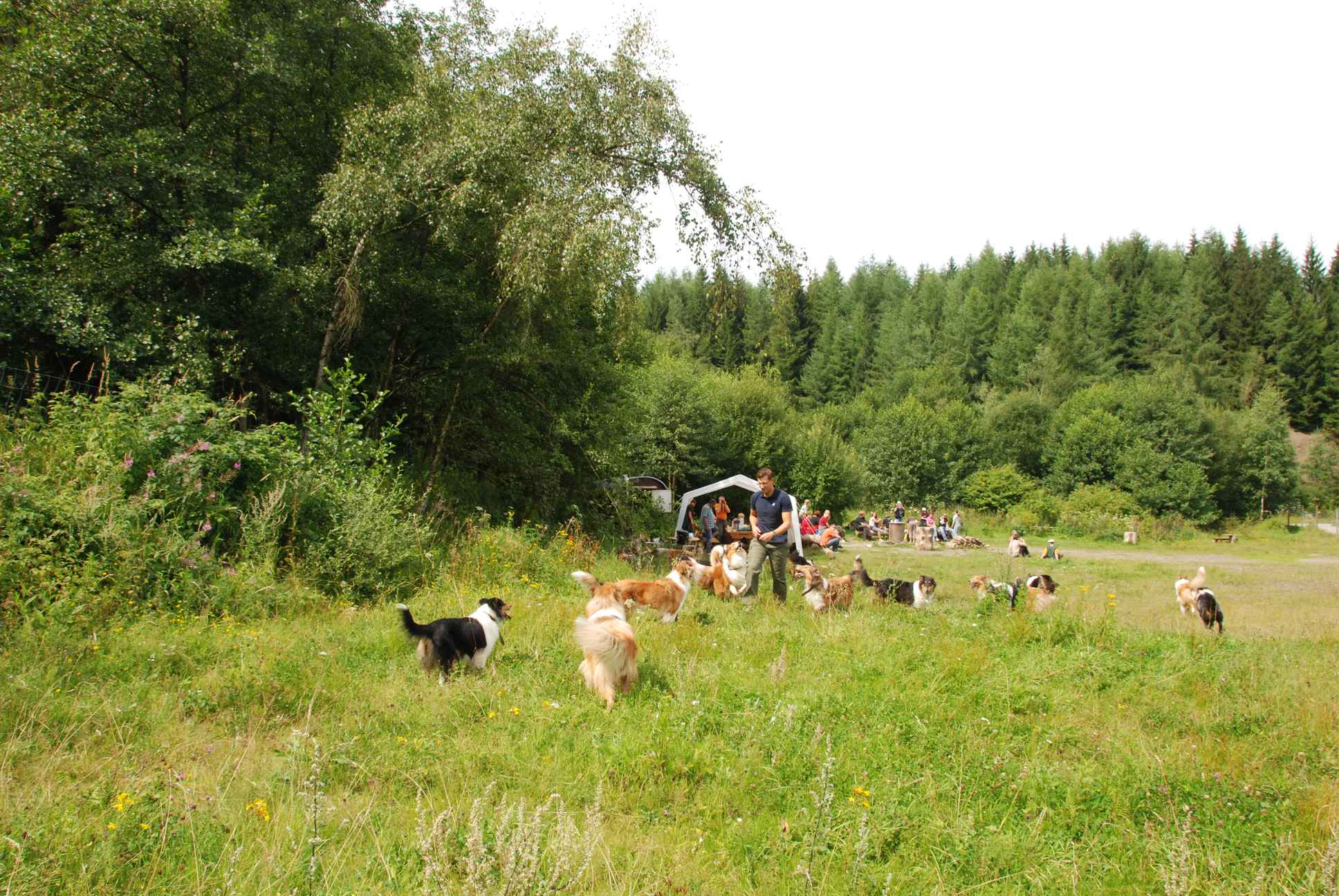 2009-08-15_ntb_4734