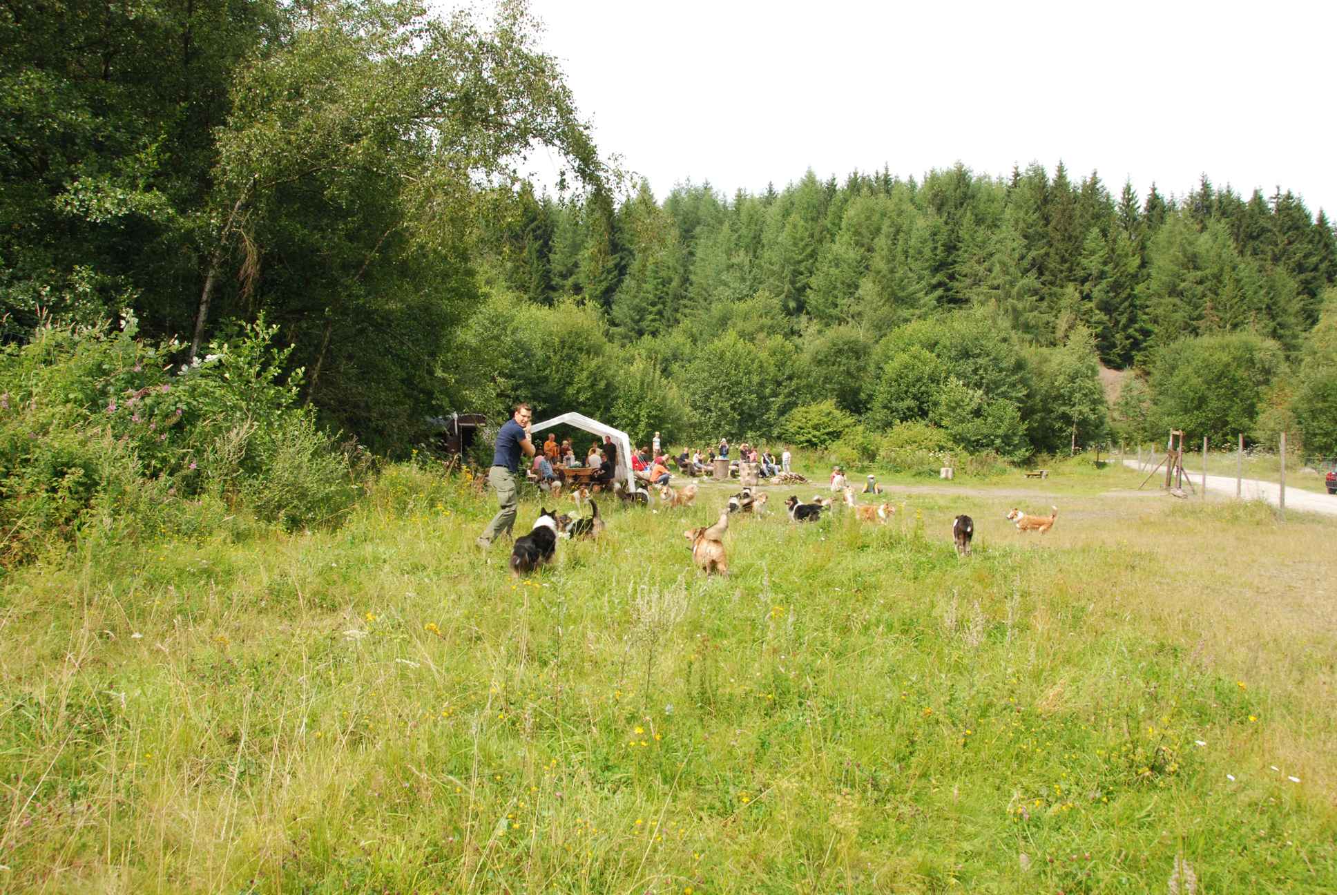 2009-08-15_ntb_4751