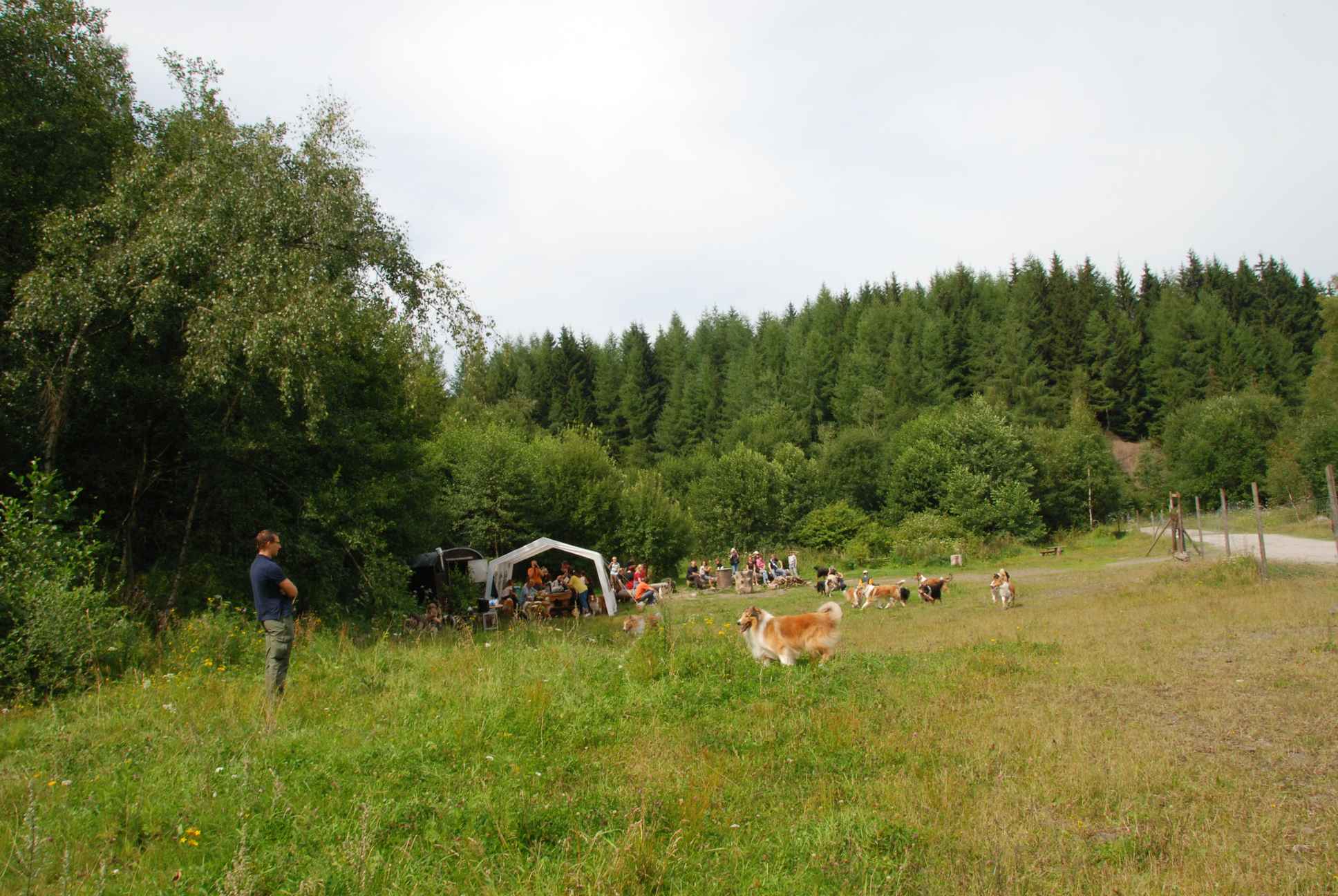 2009-08-15_ntb_4767