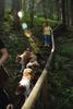 2009-08-15_ntb_4829