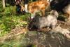 2009-08-15_ntb_4831