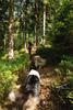 2009-08-15_ntb_4832