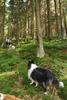 2009-08-15_ntb_4835