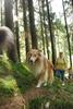 2009-08-15_ntb_4837