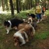 2009-08-15_ntb_4850