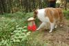 2009-08-15_ntb_4852